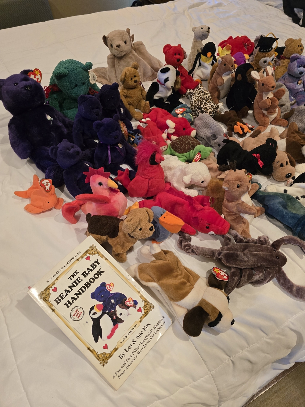 Ty Beanie Babies Assorted Plush Toy Collection - 61